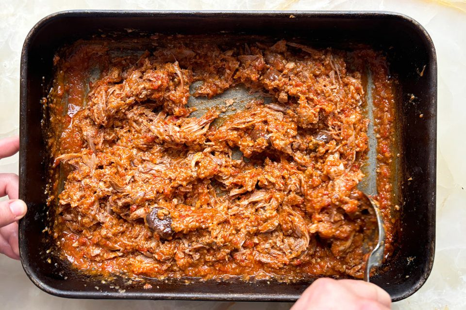 Duck ragu